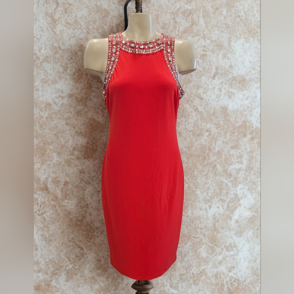 S.L. Fashions Persimmon Embellished Dress-Medium